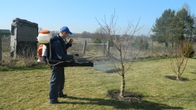 Обработка деревьев от болезней и вредителей